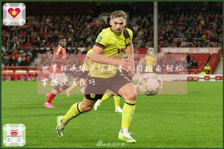 世界杯滚球买球新手入门指南 轻松掌握投注技巧