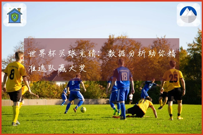 世界杯买球竞猜：数据分析助你精准选队赢大奖