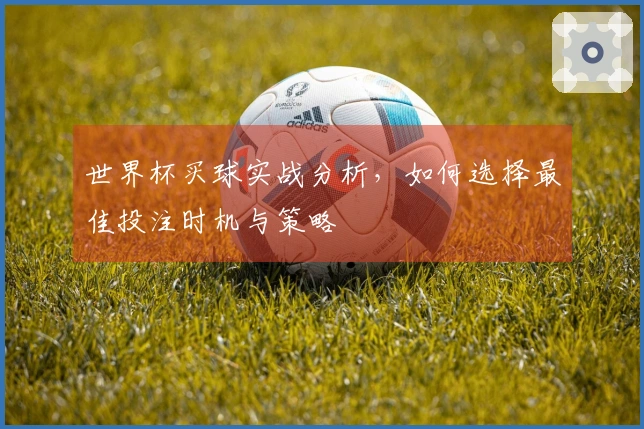 世界杯买球实战分析，如何选择最佳投注时机与策略