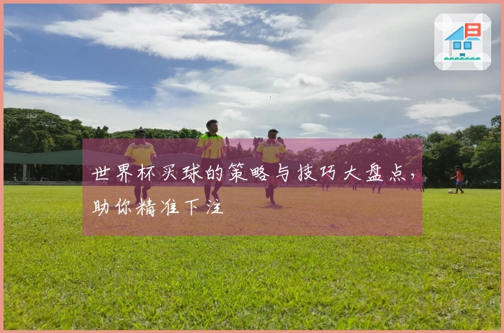 世界杯买球的策略与技巧大盘点，助你精准下注
