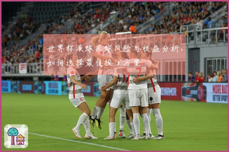 世界杯滚球买球风险与收益分析，如何选择最佳投注方案
