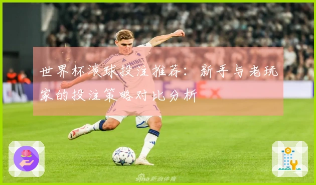 世界杯滚球投注推荐：新手与老玩家的投注策略对比分析