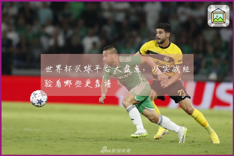 世界杯买球平台大盘点，从实战经验看哪些更靠谱