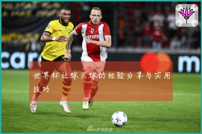 世界杯让球买球的经验分享与实用技巧